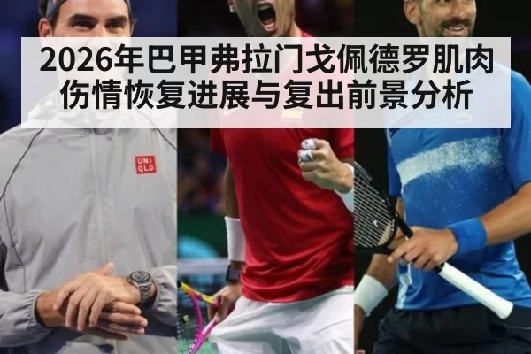 2026年巴甲弗拉门戈佩德罗肌肉伤情恢复进展与复出前景分析