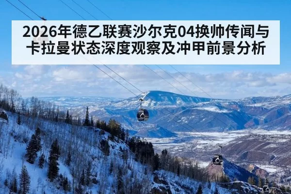 2026年德乙联赛沙尔克04换帅传闻与卡拉曼状态深度观察及冲甲前景分析