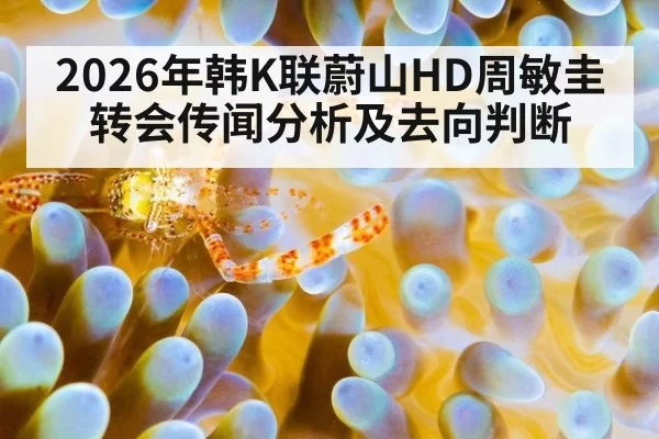 2026年韩K联蔚山HD周敏圭转会传闻分析及去向判断